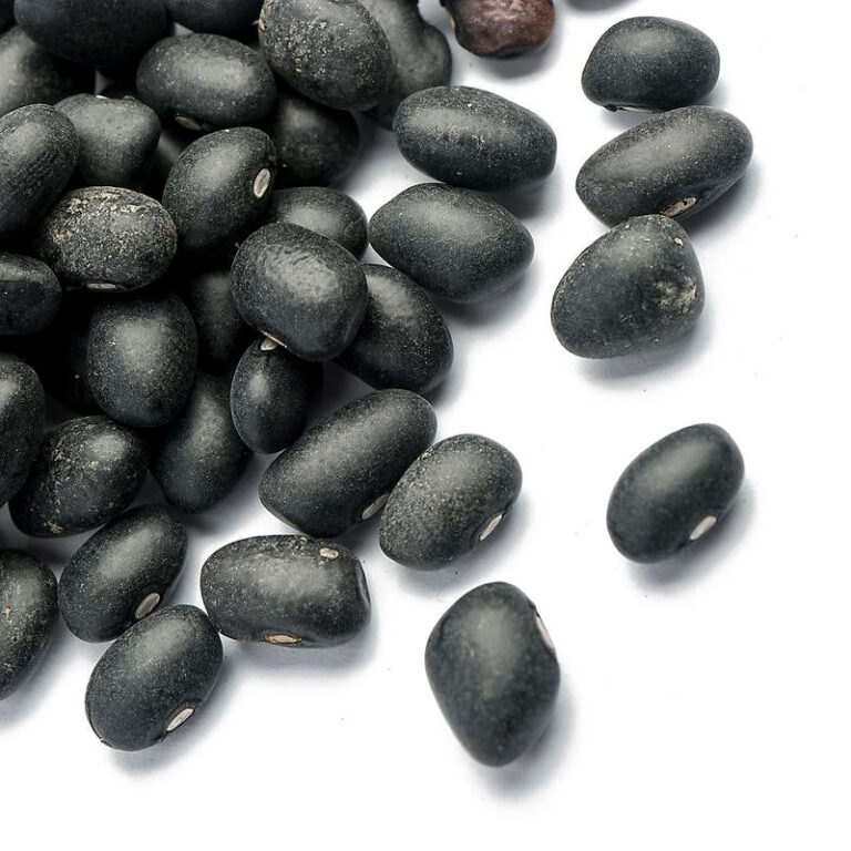 BLACK-BEAN-B