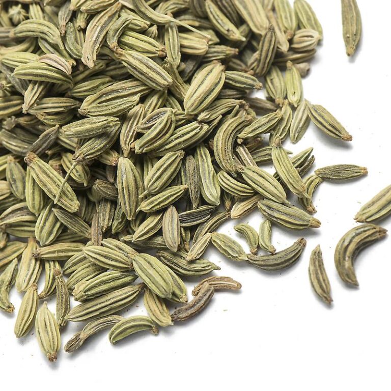 FENNEL-WHOLE-B