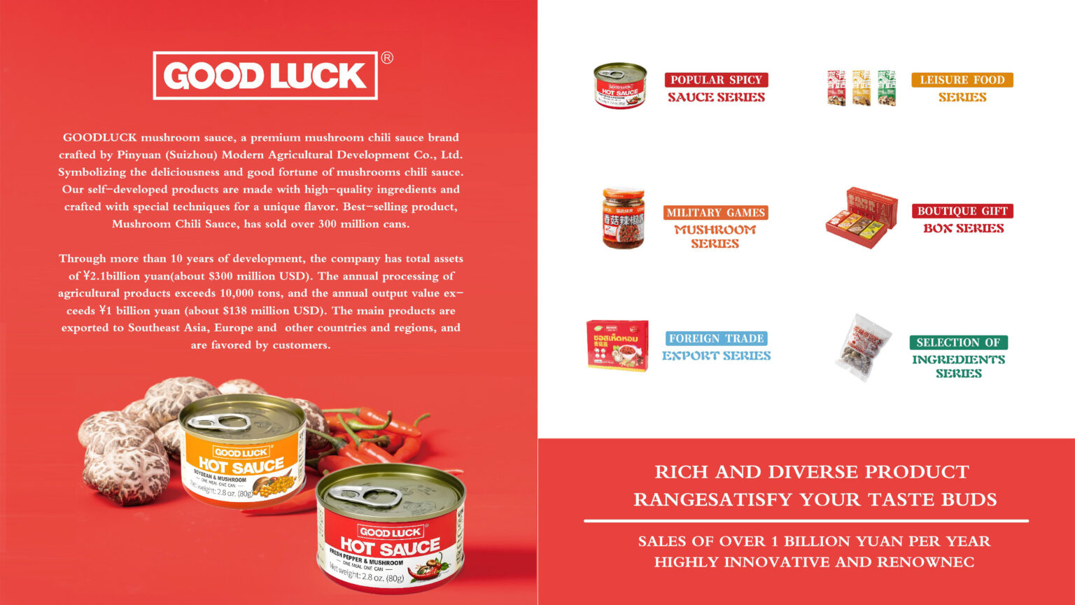 GOODLUCK-ENGLISH_Page_02