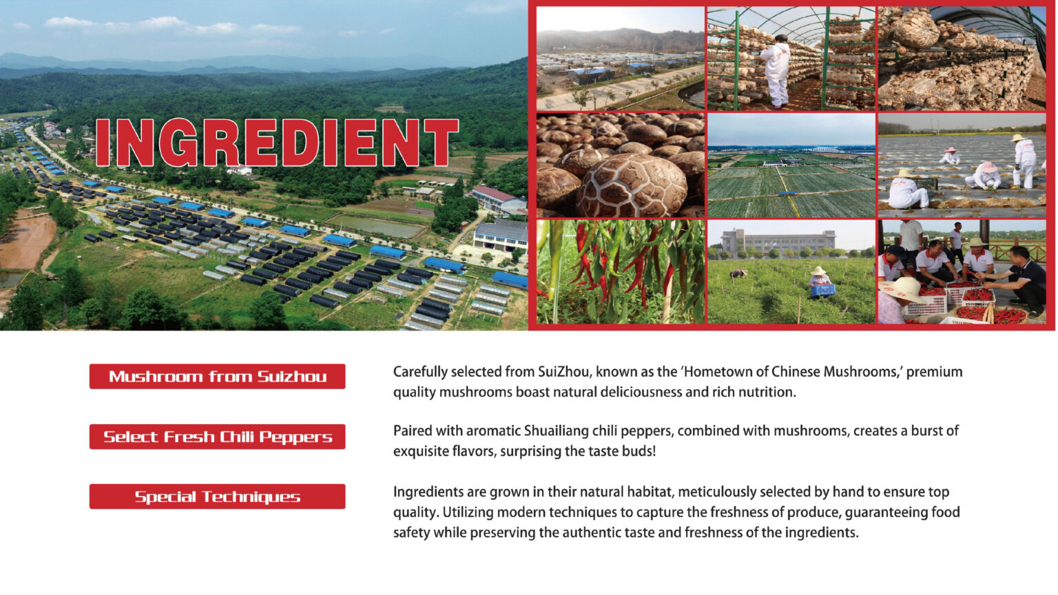 GOODLUCK-ENGLISH_Page_03