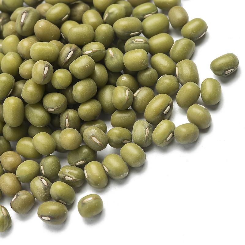 GREEN-BEAN-B