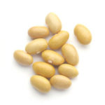 mayocoba-beans-150x150